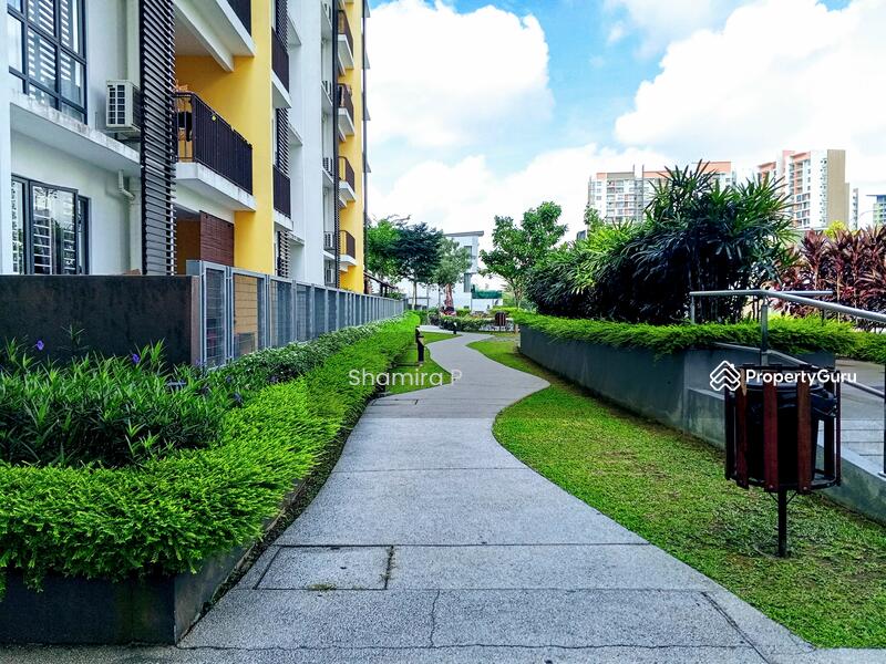 Condominium for Rent at Oasis 1 - Shamira P - PropertyGuru.com.my