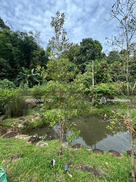 For Sale - Tanarimba