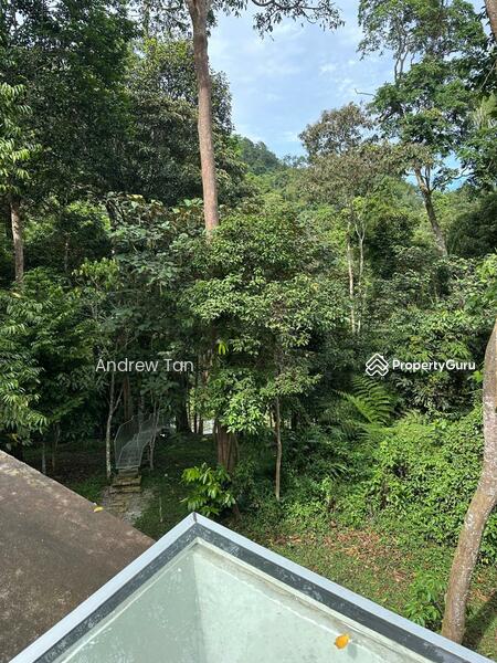 For Sale - Tanarimba