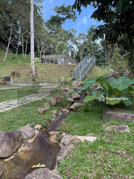 For Sale - Tanarimba