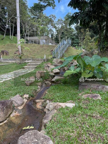 For Sale - Tanarimba