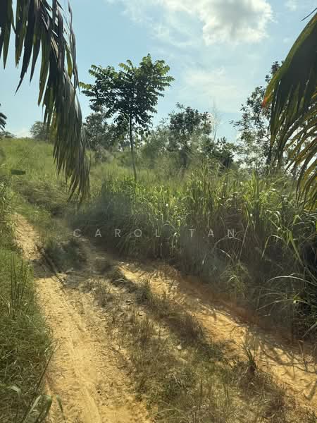 Agriculture land at Senai untuk Untuk Dijual - RM 8,659,728, Mac 2026 - PropertyGuru.com.my