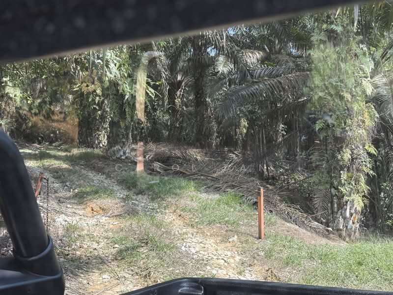 Agriculture land at Senai untuk Untuk Dijual - RM 8,659,728, Mac 2026 - PropertyGuru.com.my