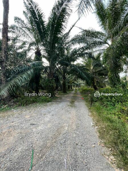 For Sale - Kampung Jenjarom Land Zoning Industrial