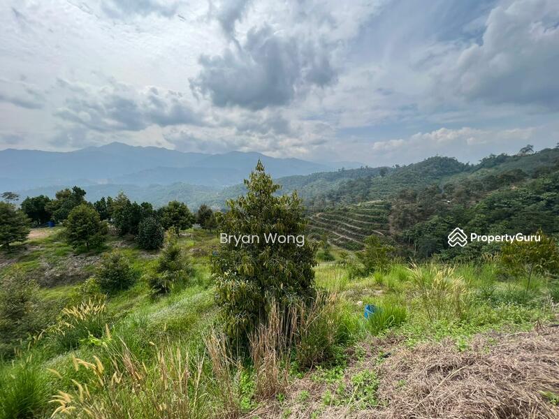 Agricultural Land for Sale in Bentong (Pahang) - Bryan Wong - PropertyGuru.com.my