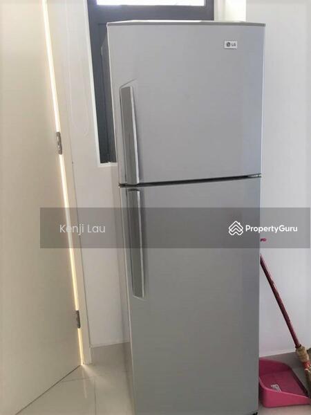 Untuk Dijual - Shamelin Star