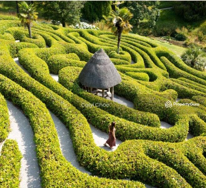Maze garden