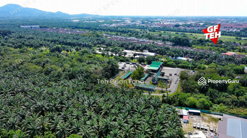 Untuk Dijual - 11.78 acre Residential Land | Nibong Tebal | SPS | Pulau Pinang RM40 psf