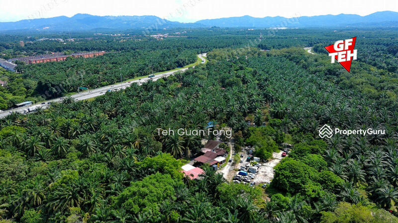 Untuk Dijual - 11.78 acre Residential Land | Nibong Tebal | SPS | Pulau Pinang RM40 psf