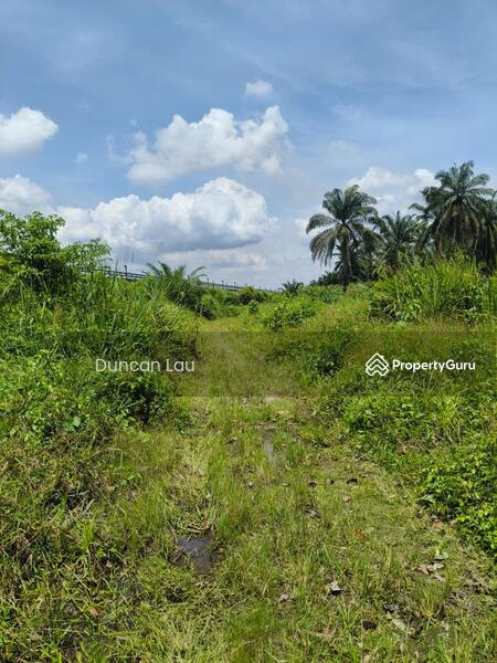 For Sale - Olak Lempik