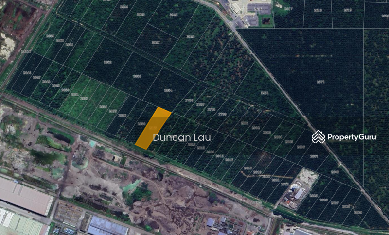 For Sale - Olak Lempik