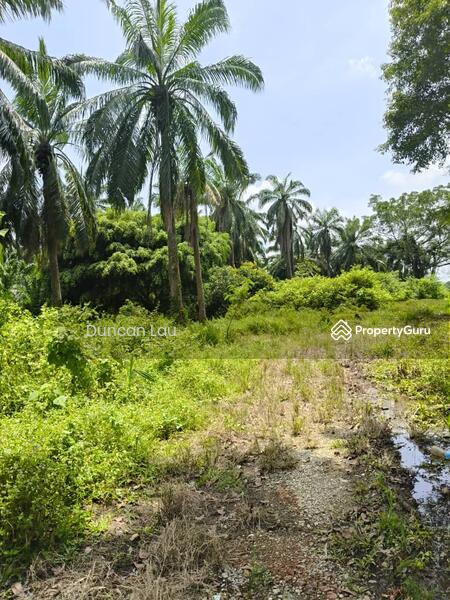 For Sale - Olak Lempik
