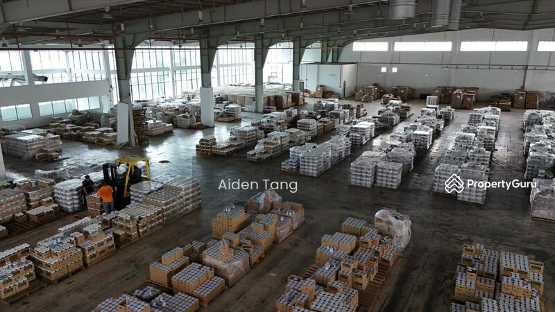 Untuk Dijual - Tebrau Tebraus