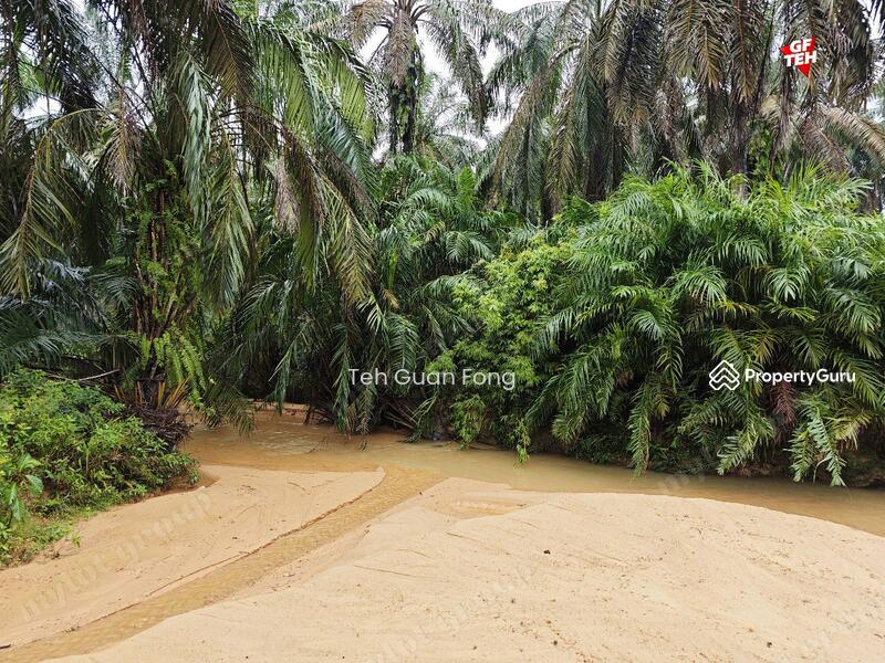Agricultural Land for Sale in Kampung Kubu Gajah (Selama) - Teh Guan Fong - PropertyGuru.com.my