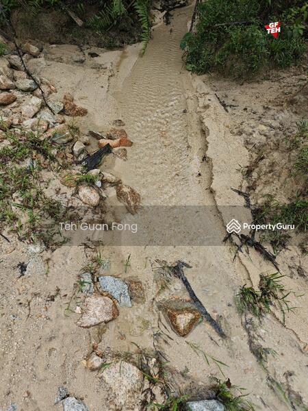 Agricultural Land for Sale in Kampung Kubu Gajah (Selama) - Teh Guan Fong - PropertyGuru.com.my