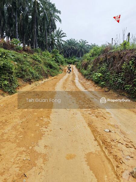 Agricultural Land for Sale in Kampung Kubu Gajah (Selama) - Teh Guan Fong - PropertyGuru.com.my