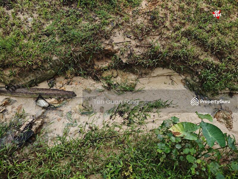 Agricultural Land for Sale in Kampung Kubu Gajah (Selama) - Teh Guan Fong - PropertyGuru.com.my