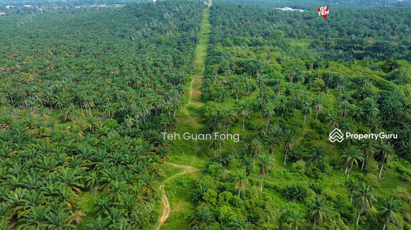 Tanah Pertanian untuk Dijual di Kampung Jawi (Sungai Jawi) - Teh Guan Fong - PropertyGuru.com.my