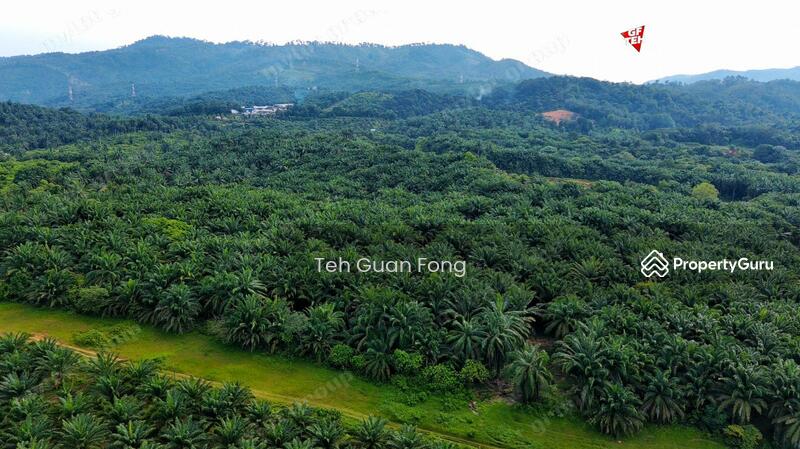 Tanah Pertanian untuk Dijual di Kampung Jawi (Sungai Jawi) - Teh Guan Fong - PropertyGuru.com.my