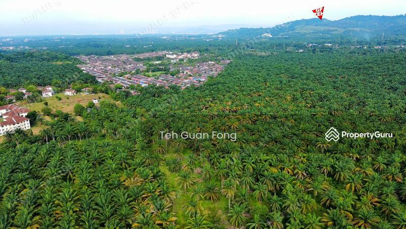 Tanah Pertanian untuk Dijual di Kampung Jawi (Sungai Jawi) - Teh Guan Fong - PropertyGuru.com.my