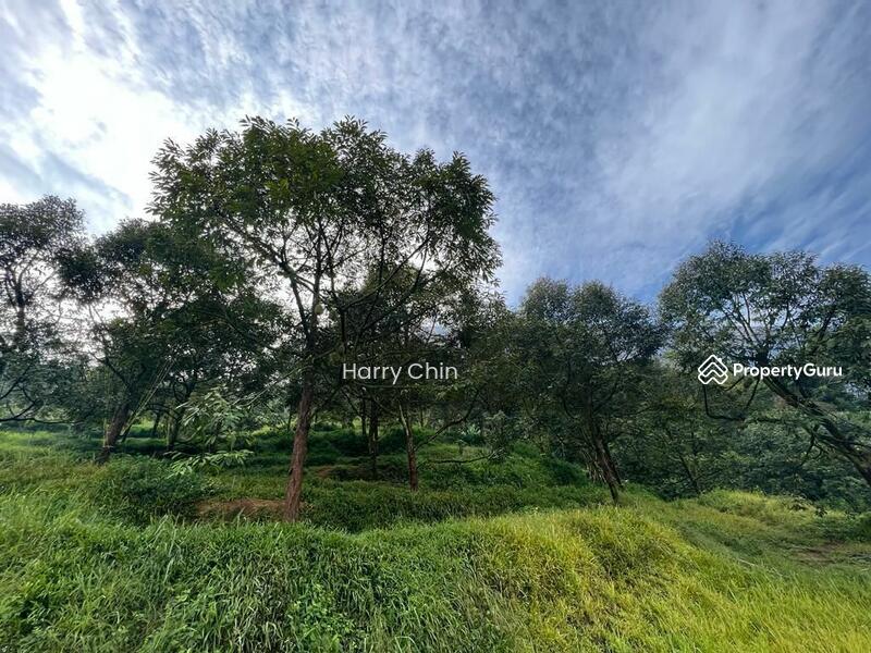 Untuk Dijual - 9 Acres Mature 10+ years Musang king,Black Torn Durian Farm