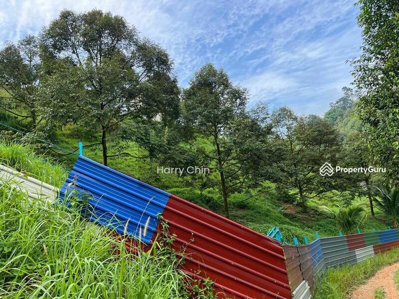 Untuk Dijual - 9 Acres Mature 10+ years Musang king,Black Torn Durian Farm