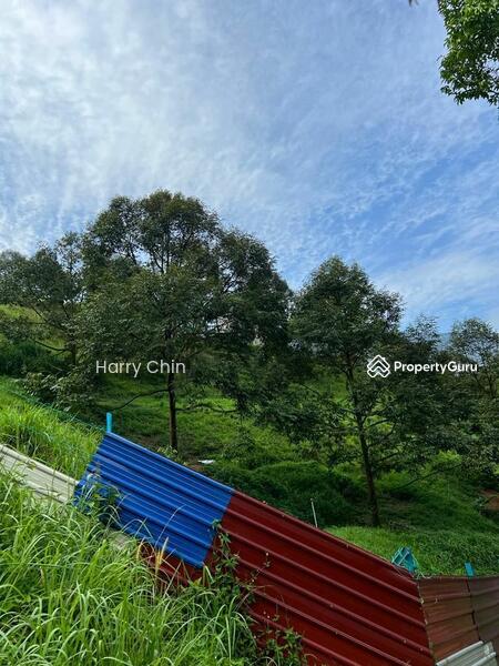 Untuk Dijual - 9 Acres Mature 10+ years Musang king,Black Torn Durian Farm