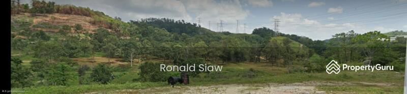 For Sale - salak tinggi