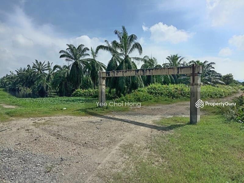 Tanah Pertanian untuk Dijual di Changkat (Nibong Tebal) - Yee Choi Hong - PropertyGuru.com.my