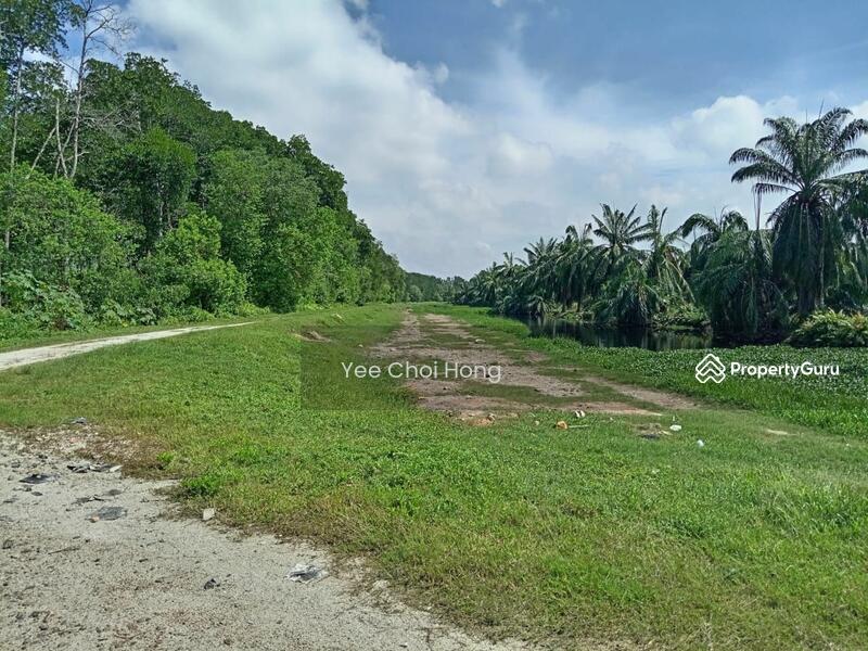 Tanah Pertanian untuk Dijual di Changkat (Nibong Tebal) - Yee Choi Hong - PropertyGuru.com.my