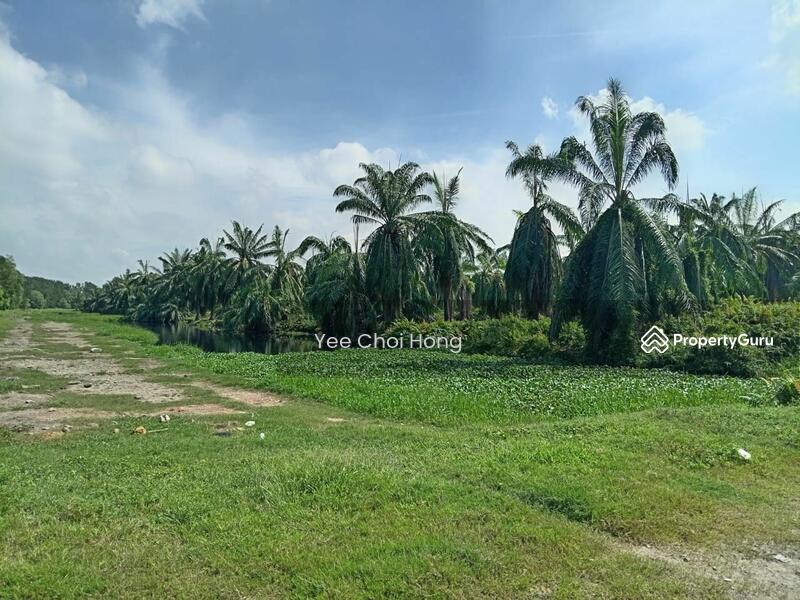 Tanah Pertanian untuk Dijual di Changkat (Nibong Tebal) - Yee Choi Hong - PropertyGuru.com.my