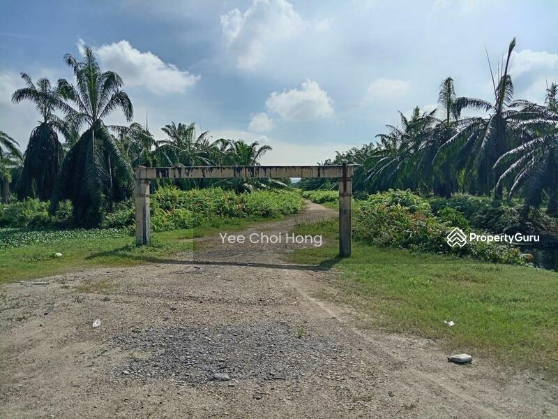 Tanah Pertanian untuk Dijual di Changkat (Nibong Tebal) - Yee Choi Hong - PropertyGuru.com.my