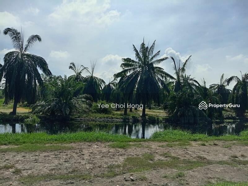 Tanah Pertanian untuk Dijual di Changkat (Nibong Tebal) - Yee Choi Hong - PropertyGuru.com.my