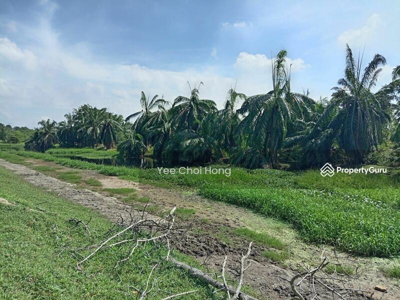 Tanah Pertanian untuk Dijual di Changkat (Nibong Tebal) - Yee Choi Hong - PropertyGuru.com.my