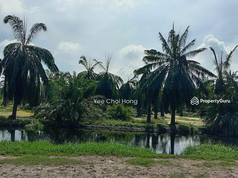 Tanah Pertanian untuk Dijual di Changkat (Nibong Tebal) - Yee Choi Hong - PropertyGuru.com.my