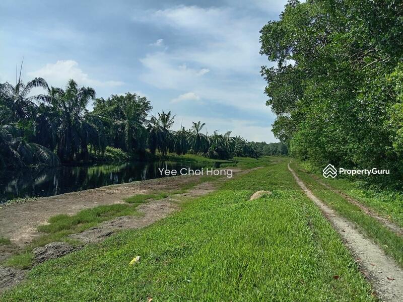 Tanah Pertanian untuk Dijual di Changkat (Nibong Tebal) - Yee Choi Hong - PropertyGuru.com.my