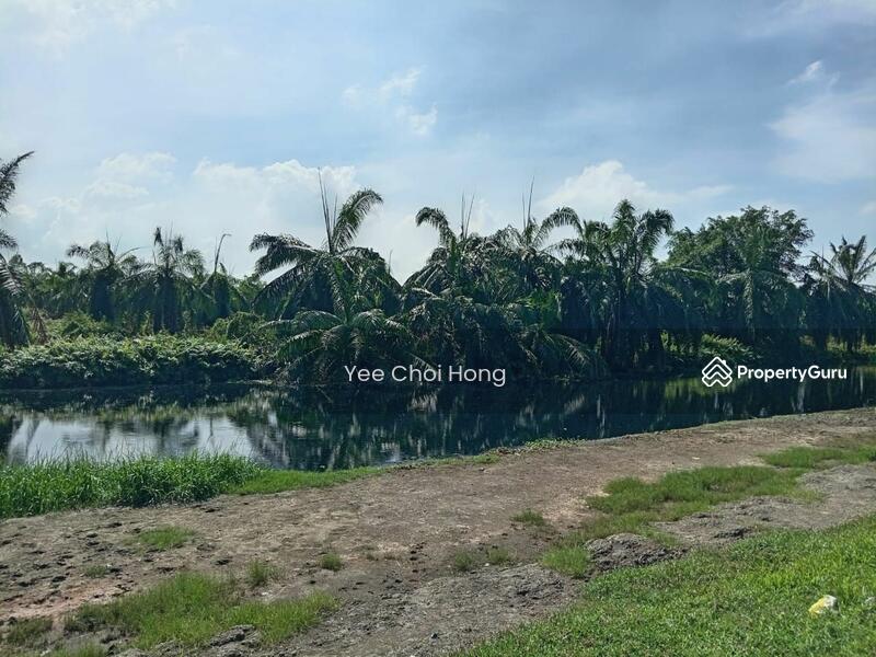 Tanah Pertanian untuk Dijual di Changkat (Nibong Tebal) - Yee Choi Hong - PropertyGuru.com.my