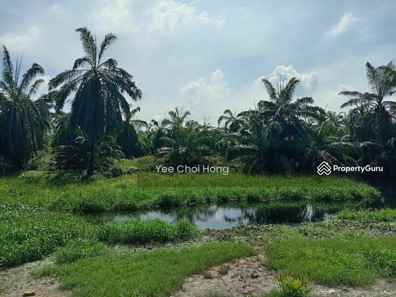 Tanah Pertanian untuk Dijual di Changkat (Nibong Tebal) - Yee Choi Hong - PropertyGuru.com.my