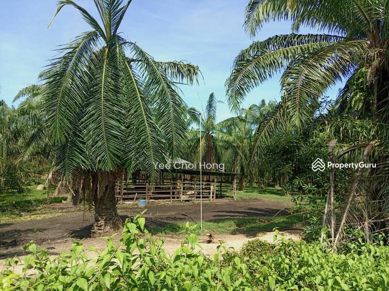Tanah Pertanian untuk Dijual di Changkat (Nibong Tebal) - Yee Choi Hong - PropertyGuru.com.my