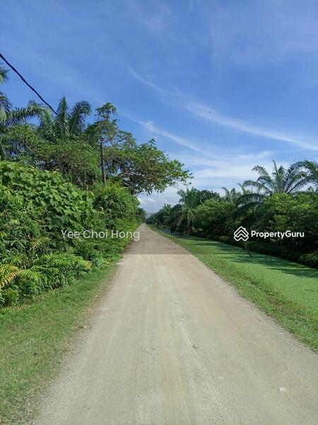 Tanah Pertanian untuk Dijual di Changkat (Nibong Tebal) - Yee Choi Hong - PropertyGuru.com.my