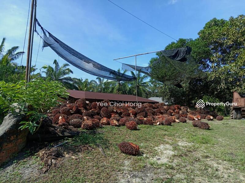 Tanah Pertanian untuk Dijual di Changkat (Nibong Tebal) - Yee Choi Hong - PropertyGuru.com.my