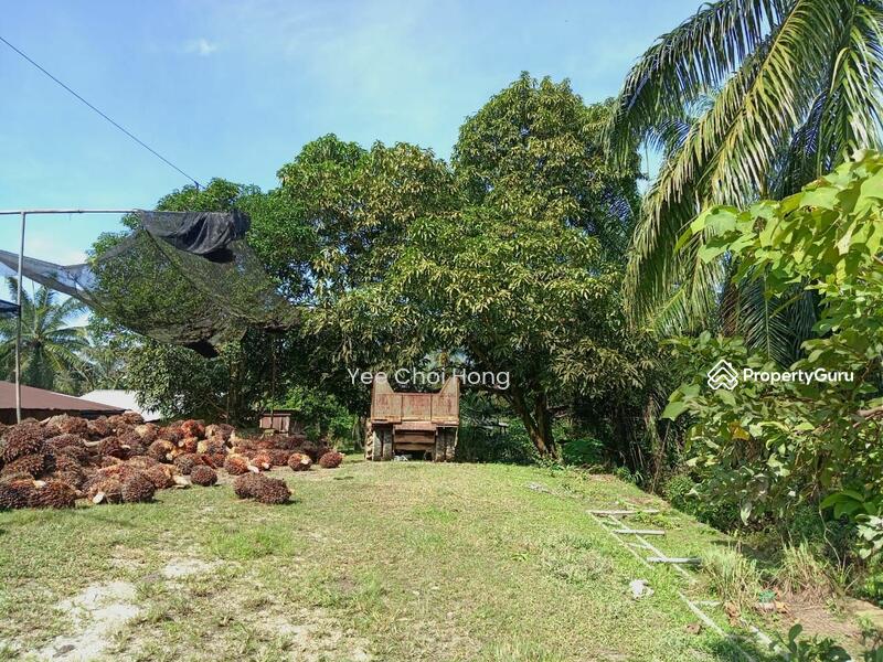 Tanah Pertanian untuk Dijual di Changkat (Nibong Tebal) - Yee Choi Hong - PropertyGuru.com.my