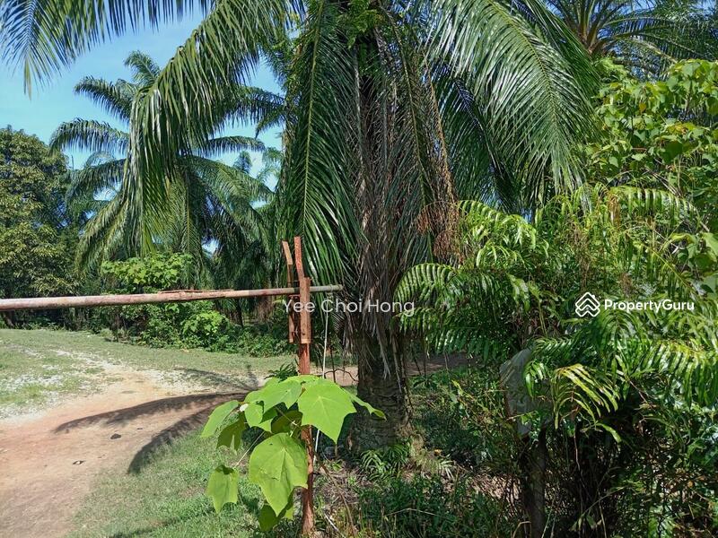 Tanah Pertanian untuk Dijual di Changkat (Nibong Tebal) - Yee Choi Hong - PropertyGuru.com.my