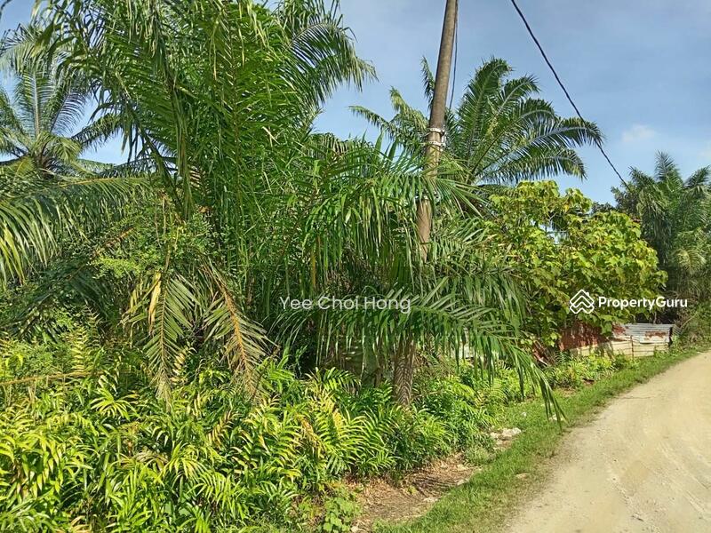 Tanah Pertanian untuk Dijual di Changkat (Nibong Tebal) - Yee Choi Hong - PropertyGuru.com.my