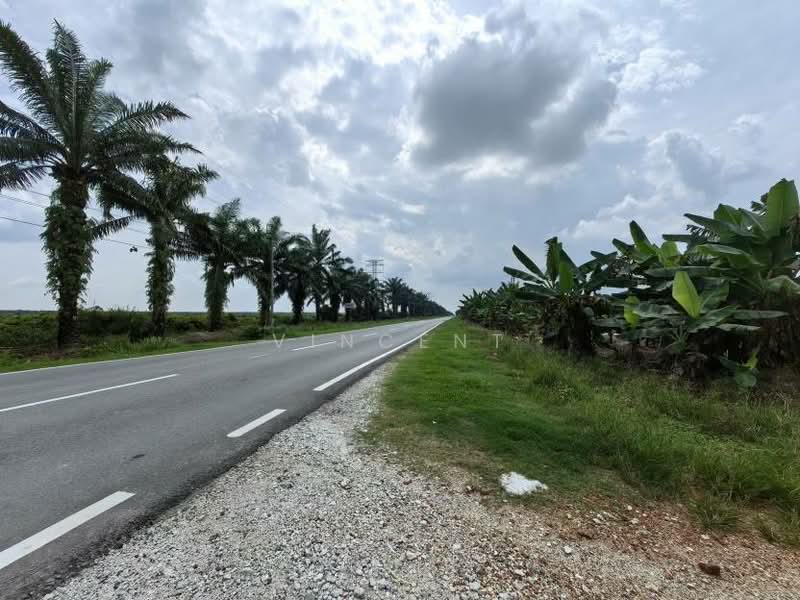 Tanah Pertanian untuk Dijual di Kampung Tiram Buruk (Tanjong Karang) - Vincent Tee - PropertyGuru.com.my