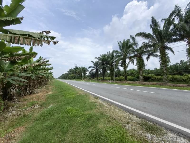 Tanah Pertanian untuk Dijual di Kampung Tiram Buruk (Tanjong Karang) - Vincent Tee - PropertyGuru.com.my