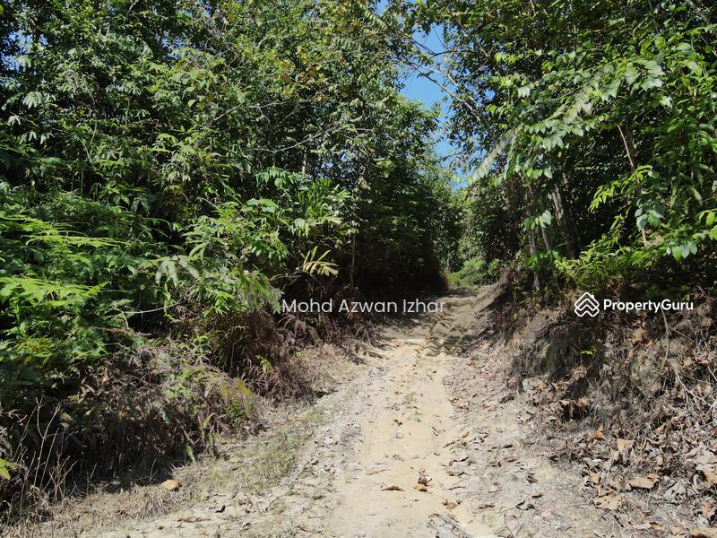 Untuk Dijual - Sg Pusu Gombak