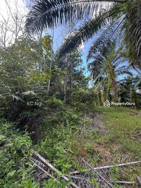 Untuk Dijual - Agriculture Land @ Gerik, Hulu Perak