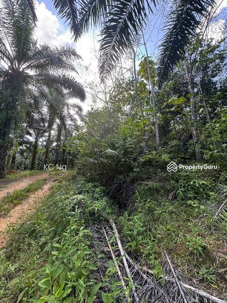 Untuk Dijual - Agriculture Land @ Gerik, Hulu Perak
