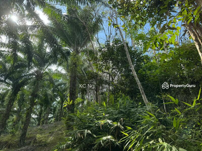 Untuk Dijual - Agriculture Land @ Gerik, Hulu Perak
